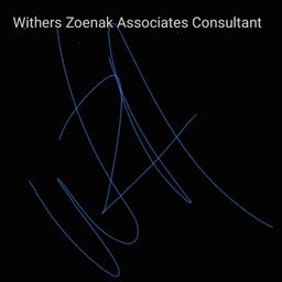 WZA Consulting 