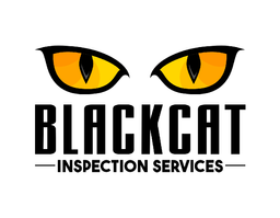 Black Cat Inspection Services 