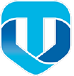 Triumphant Data Solutions, LLC