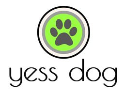 Yess Dog LLC