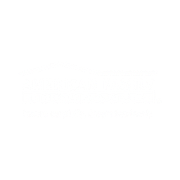 AMERICAN FAMILY INSURANCE 