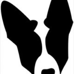 K9 Exclusive Walks Ltd