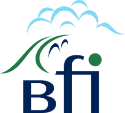 Bridge Financials & Advisory Limited