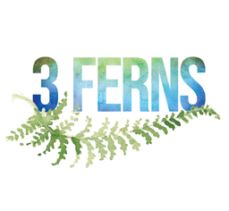 3 ferns