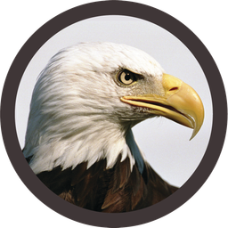 Birdseye Financial