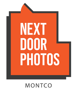 Next Door Photos 