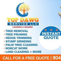 Top Dawg Service Llc