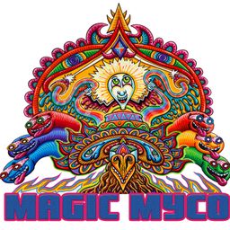 Introspective Arts LLC.