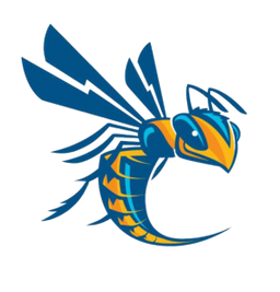 Cedarville University