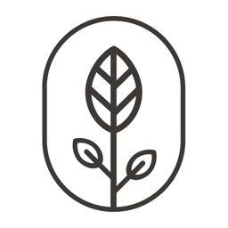LEAF 🍃 | CoLearning Collective