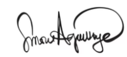 Simone Agoussoye LLC