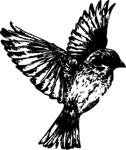 Gray Sparrow Media