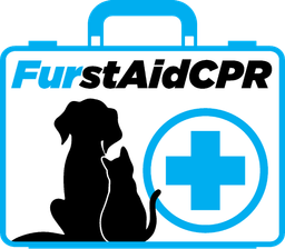 FurstAid CPR