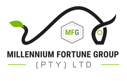 Millennium Fortune Group (MFG)